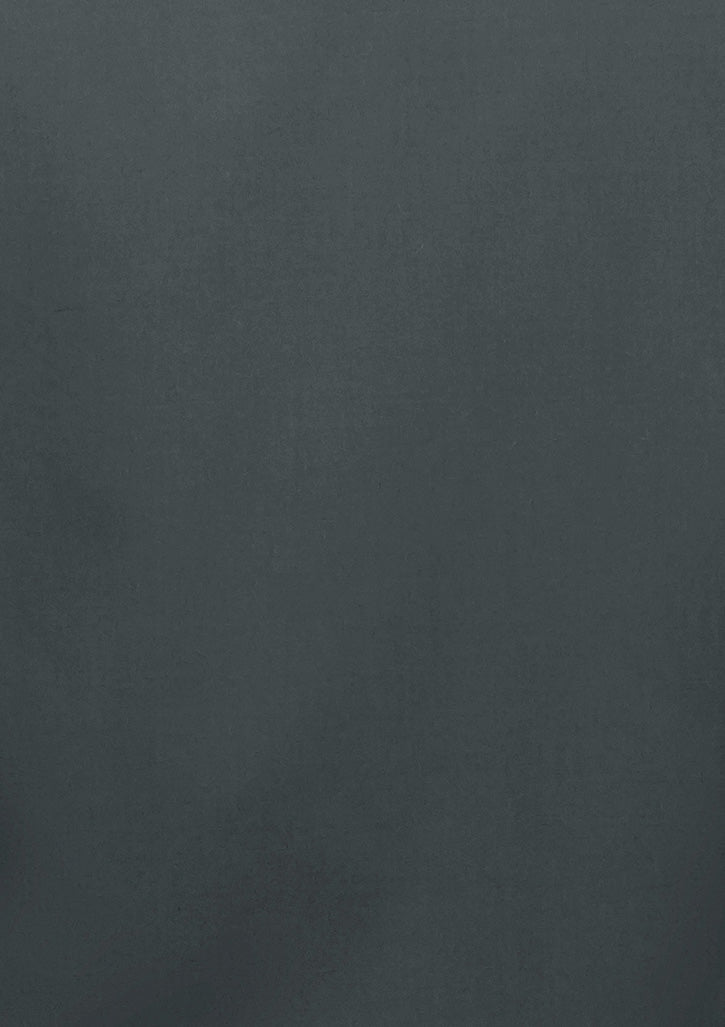 BIZ COLLECTION Lexington Mens Slim Fit Long Sleeve Shirt S621M